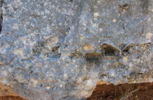 Baides: Conglomerados (Mioceno)