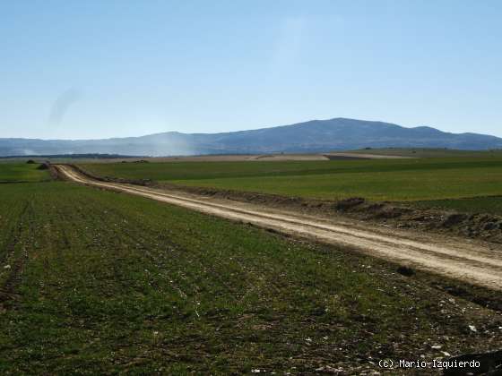 Muñico: Depresión de Muñico <br> y Horst de la Sierra de Avila