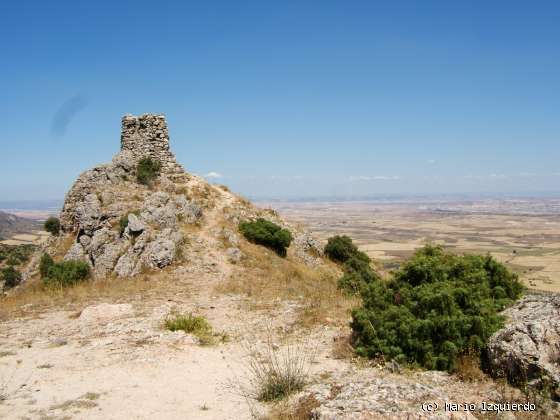 Sierra de Altomira: Cretácico