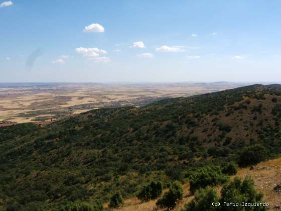 Sierra de Altomira: Cretácico