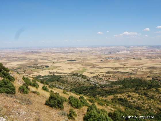 Sierra de Altomira: Cretácico