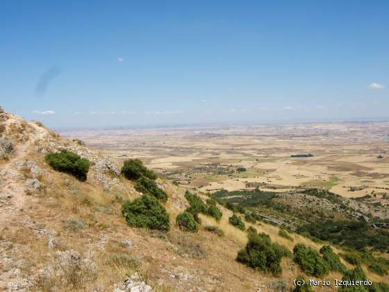 Sierra de Altomira: Cretácico