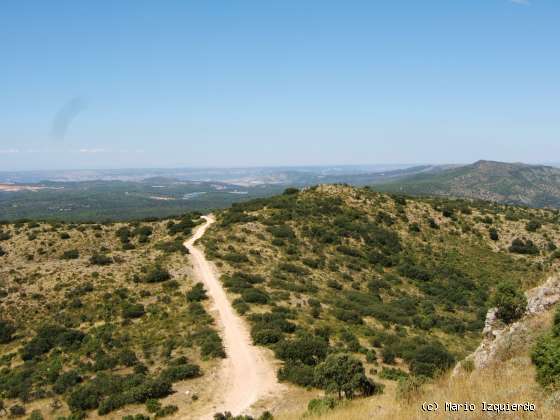 Sierra de Altomira: Cretácico