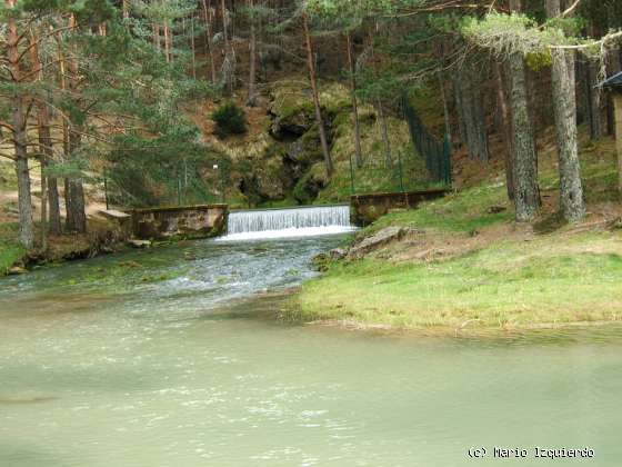 Quintanar de la Sierra: Río Arlanza - Surgencias