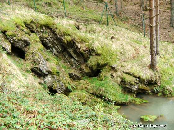 Quintanar de la Sierra: Río Arlanza - Surgencias