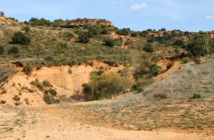 Moranchel: Parte de una secuencia del Mioceno de la Cuenca Central