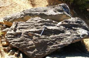 Sayatón: Cretacico superior-Terciario: Facies Garum