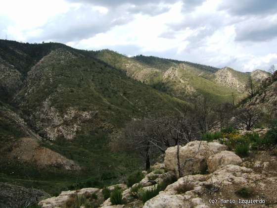 Jabalera: Sierra de Altomira