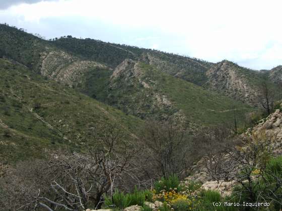 Jabalera: Sierra de Altomira - Flanco de anticlinal