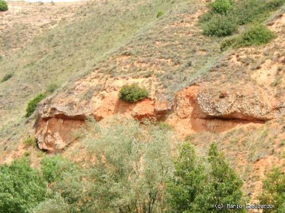 Humanes / Cerezo de Mohernando: Paleocanal