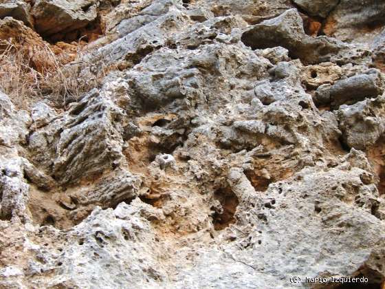 Alcubilla del Marqués (I): Tobas Calcáreas