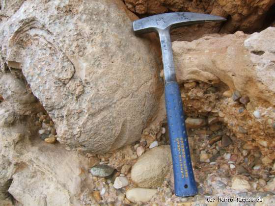 Alcubilla del Marqués (I): Tobas Calcáreas