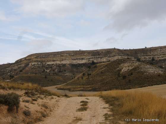 Arcos de Jalón: Mioceno Medio-Superior
