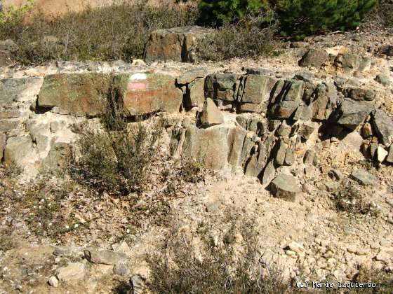 El Royo: Facies Weald - icnofósiles de Terópodos