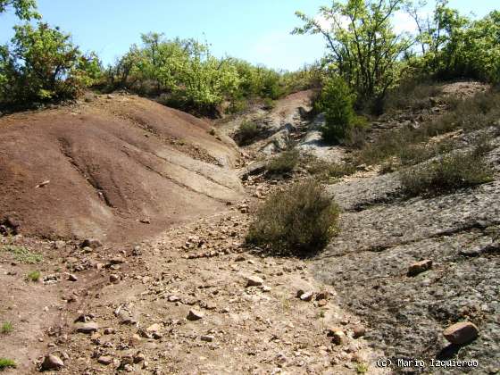 El Royo: Facies Weald - icnofósiles de Terópodos