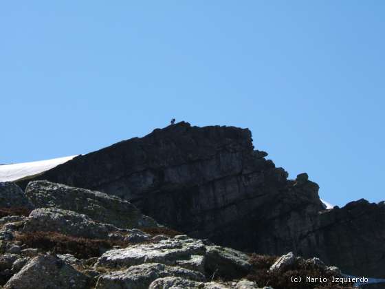 Sierra de Urbión: Glaciarismo