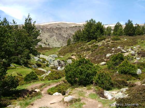 Sierra de Urbión: Glaciarismo