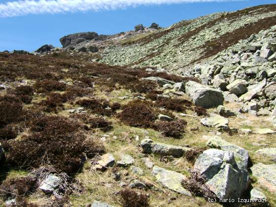 Sierra de Urbión: Glaciarismo