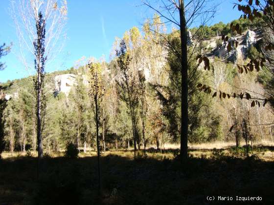 Ucero-San Leonardo de Yagüe: Cañon del Río Lobos