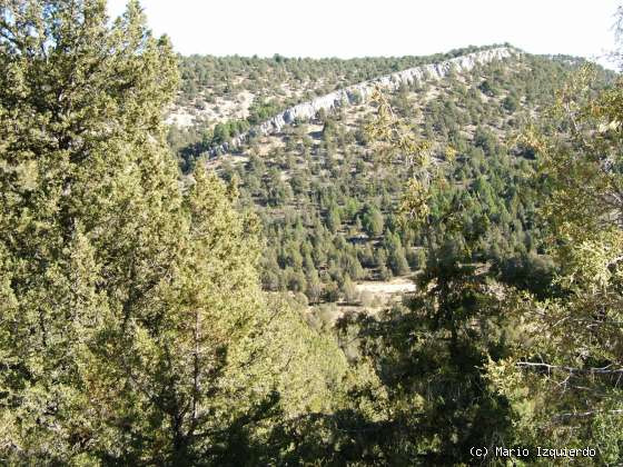 Ucero-San Leonardo de Yagüe: Cañon del Río Lobos