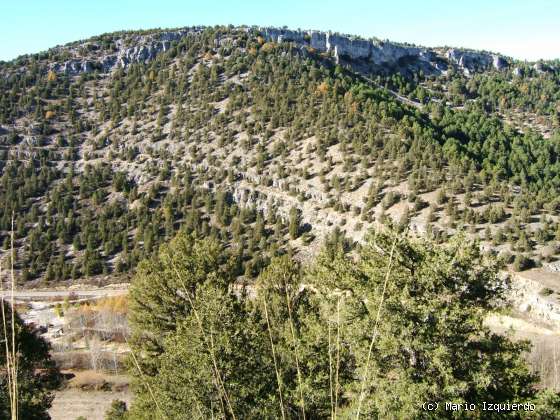 Ucero-San Leonardo de Yagüe: Cañon del Río Lobos