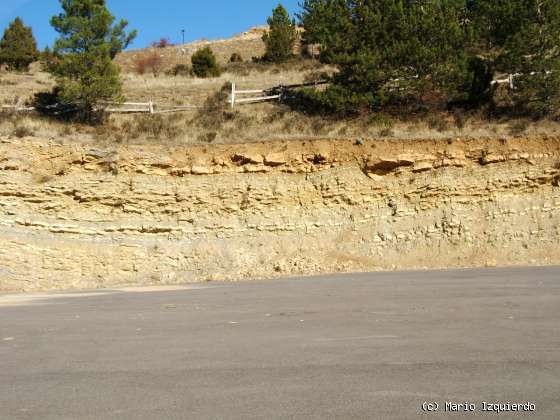 Ucero-San Leonardo de Yagüe: Cañon del Río Lobos