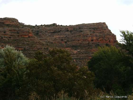 Somaén: Mioceno