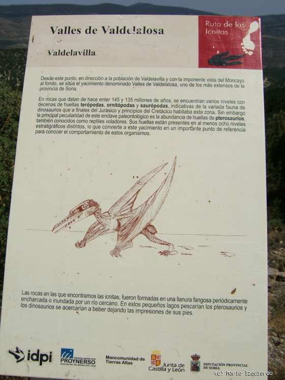 Valdelavilla: Icnofósiles de Ornitópodos, Saurópodos y Terópodos