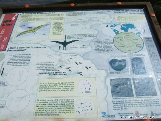 Valdelavilla: Icnofósiles de Ornitópodos, Saurópodos y Terópodos