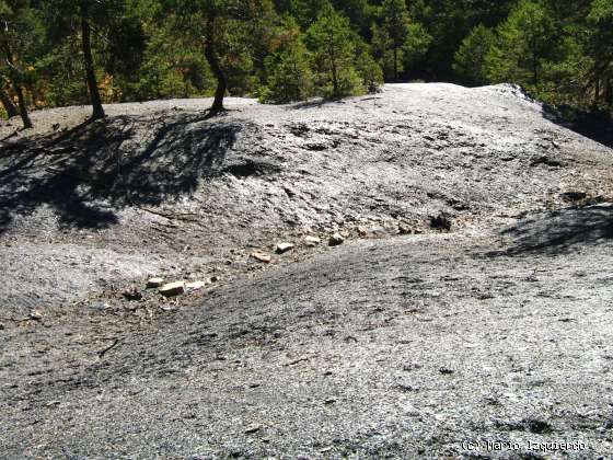 Orihuela del Tremedal