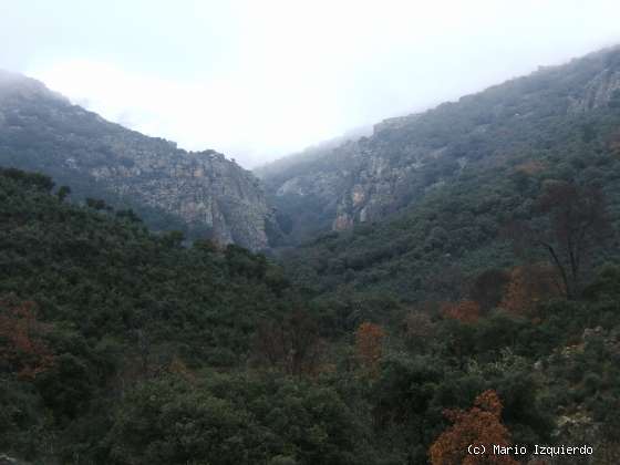 Montes de Toledo: Ordovícico