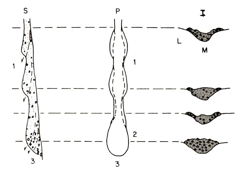 Esquema de un debris flow