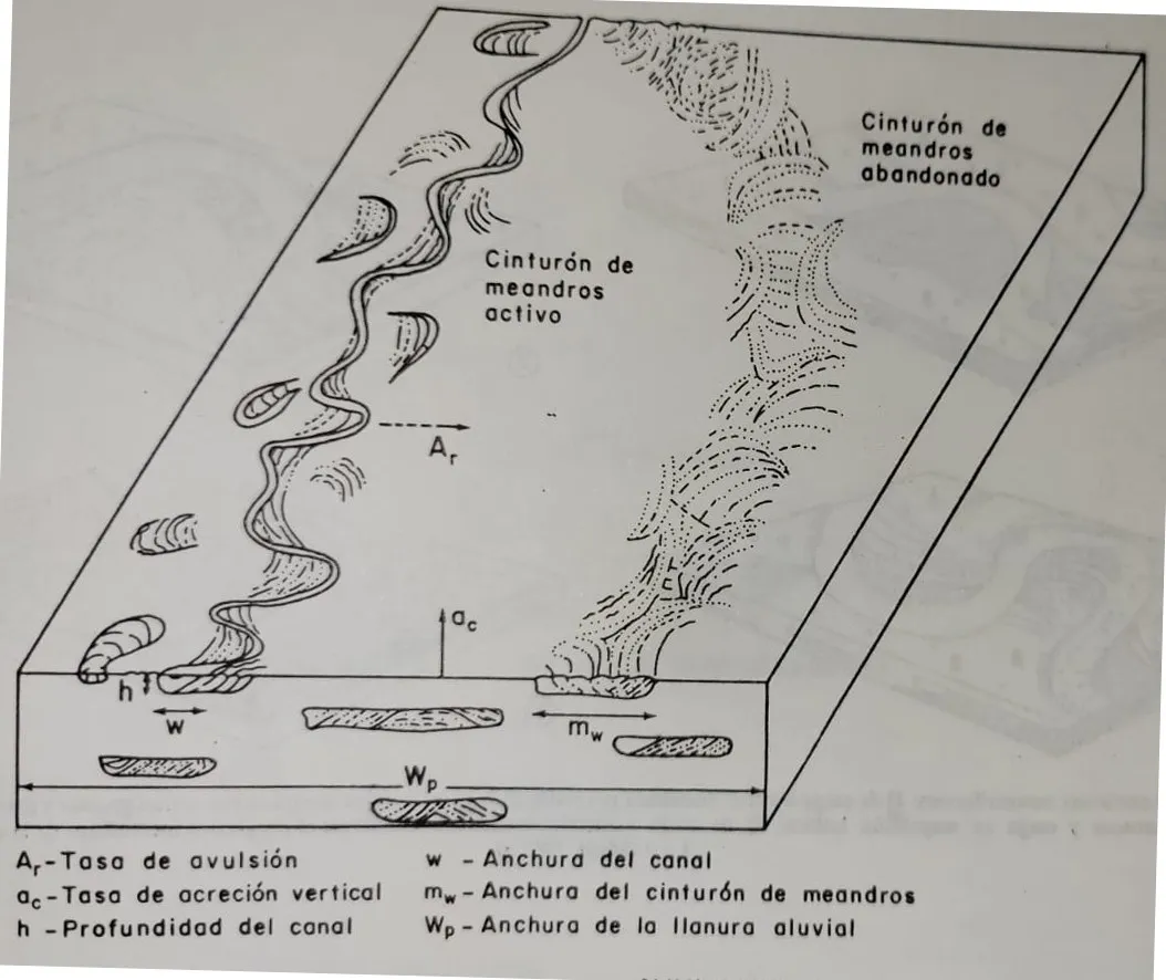 Tasa de avulsión