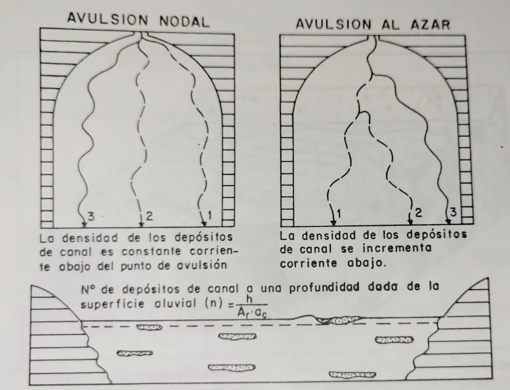 Tipos de avulsión